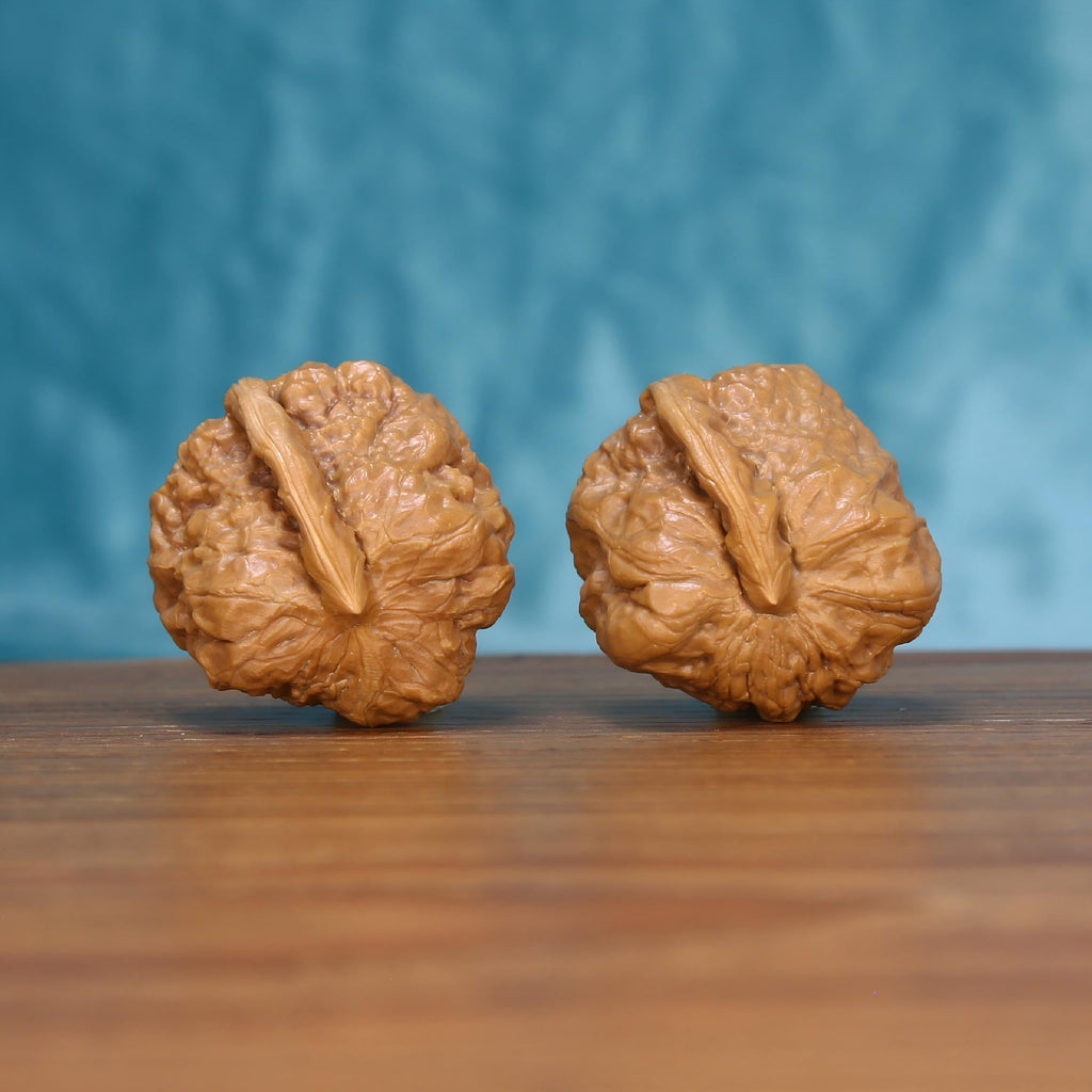 W7570 Yi-Dao-Jin walnut close-up – towering singular ridge and concentrated pressure point massage
