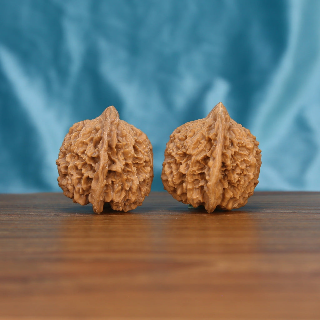  Single Man-Tian-Xing wenwan walnut on wooden surface, blue background – intricate star-studded natural texture