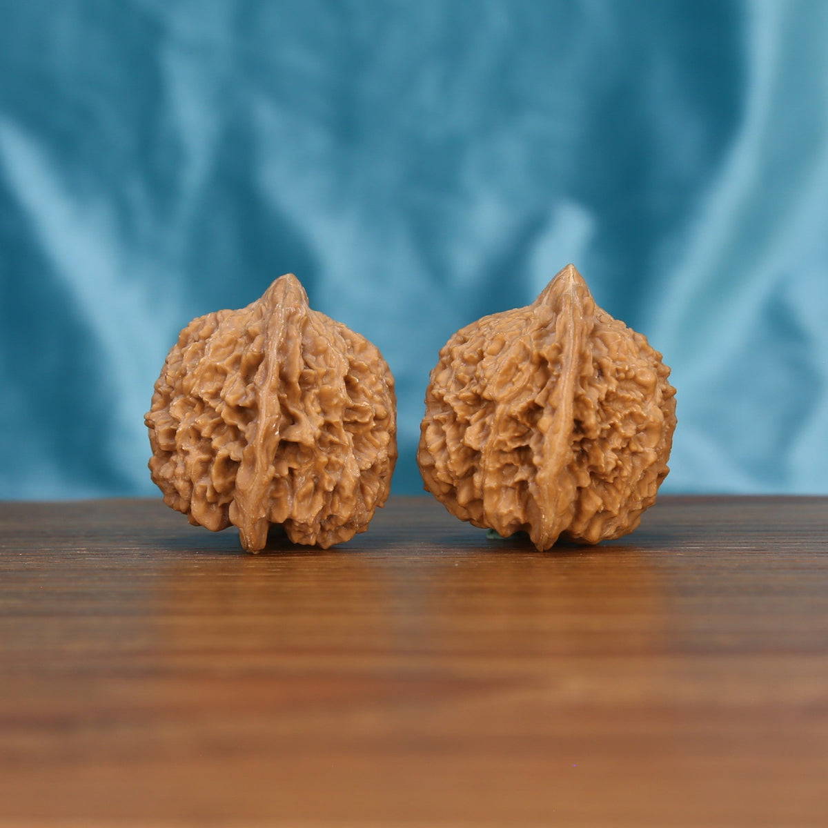  Single Man-Tian-Xing wenwan walnut on wooden surface, blue background – intricate star-studded natural texture