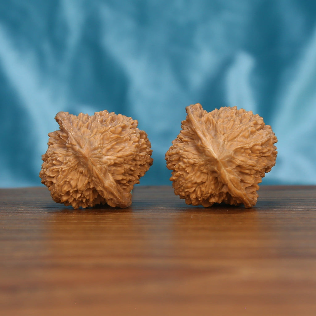  Single Man-Tian-Xing wenwan walnut bottom view on wooden surface – natural base and star-pattern texture detail