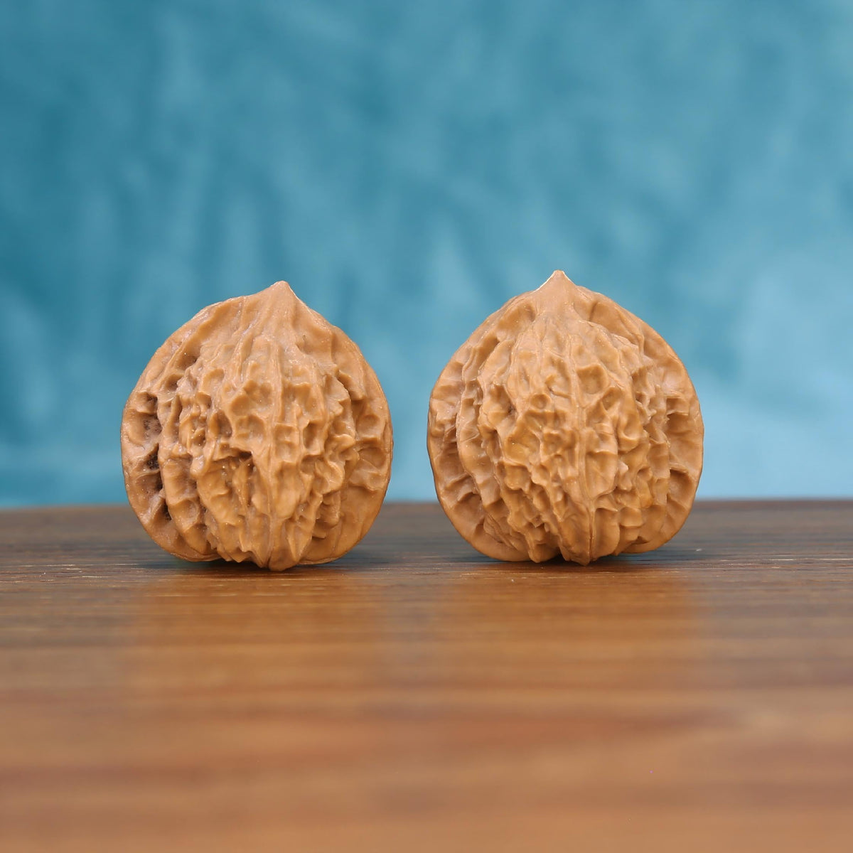Solitary Lantern walnut botanical artifacts – 100% untreated canvas evolving into translucent patina
