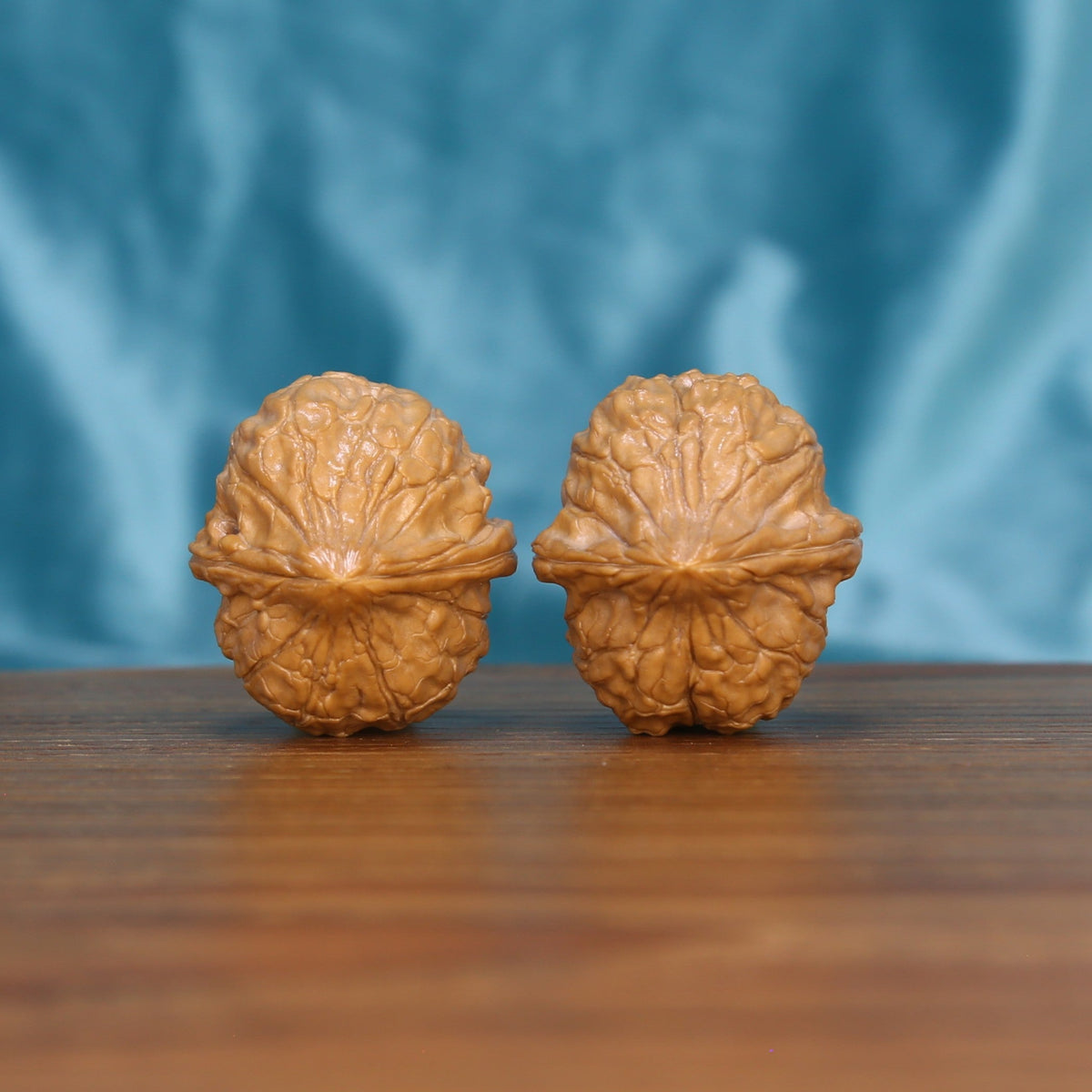 Single Gui-Jia-Wen wenwan walnut bottom view on wooden surface – natural base and shield texture detail
