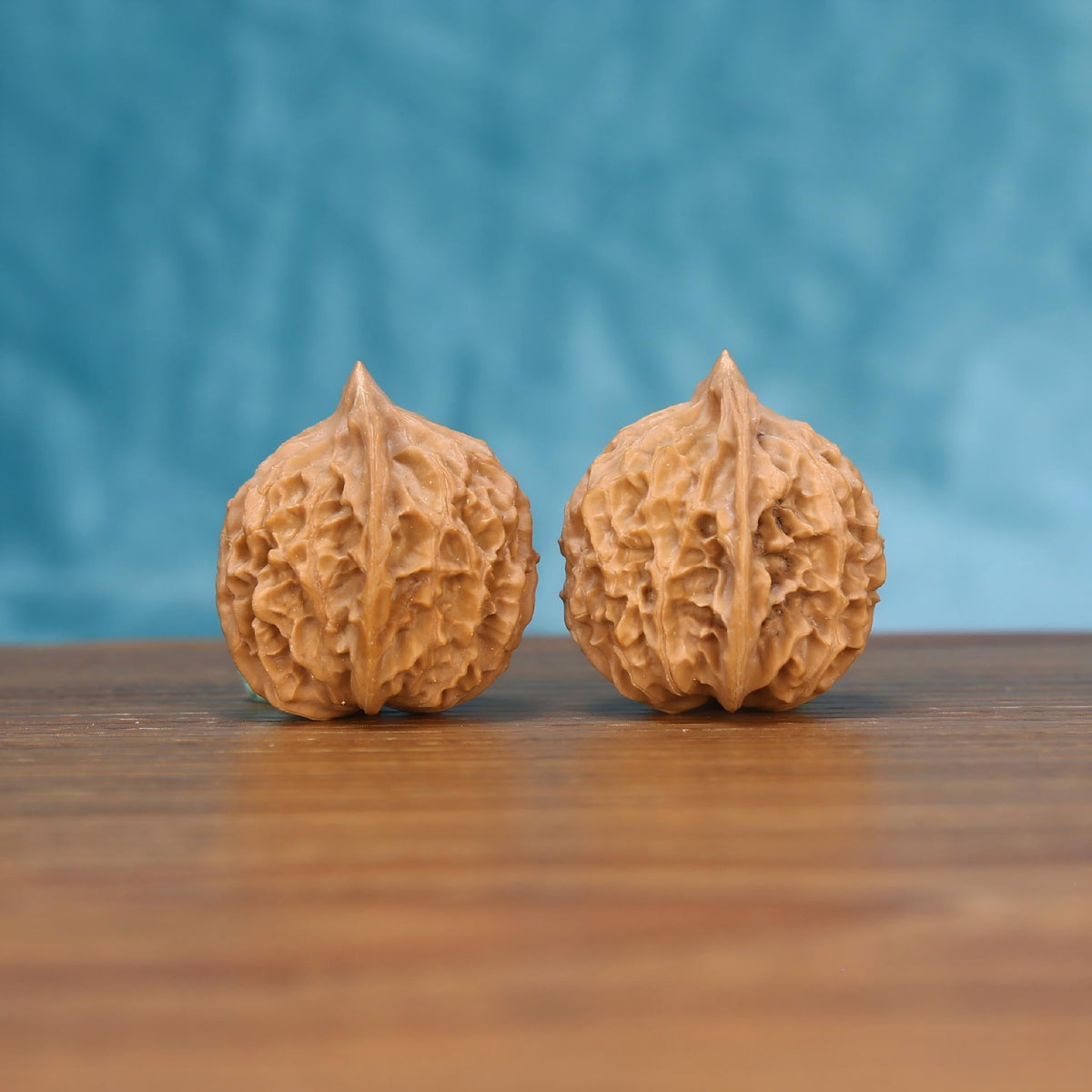 C9 Solitary Lantern walnut duo on wooden surface – 1.6g organic variance botanical stress relief tool
