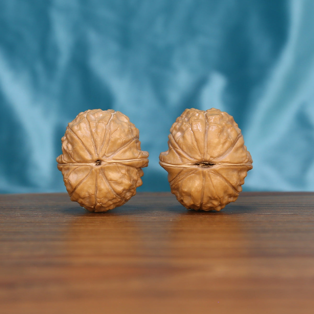 Gui-Jia-Wen walnut pair bottom view on wood – natural tortoise shell base pattern, Ancient Shield premium set