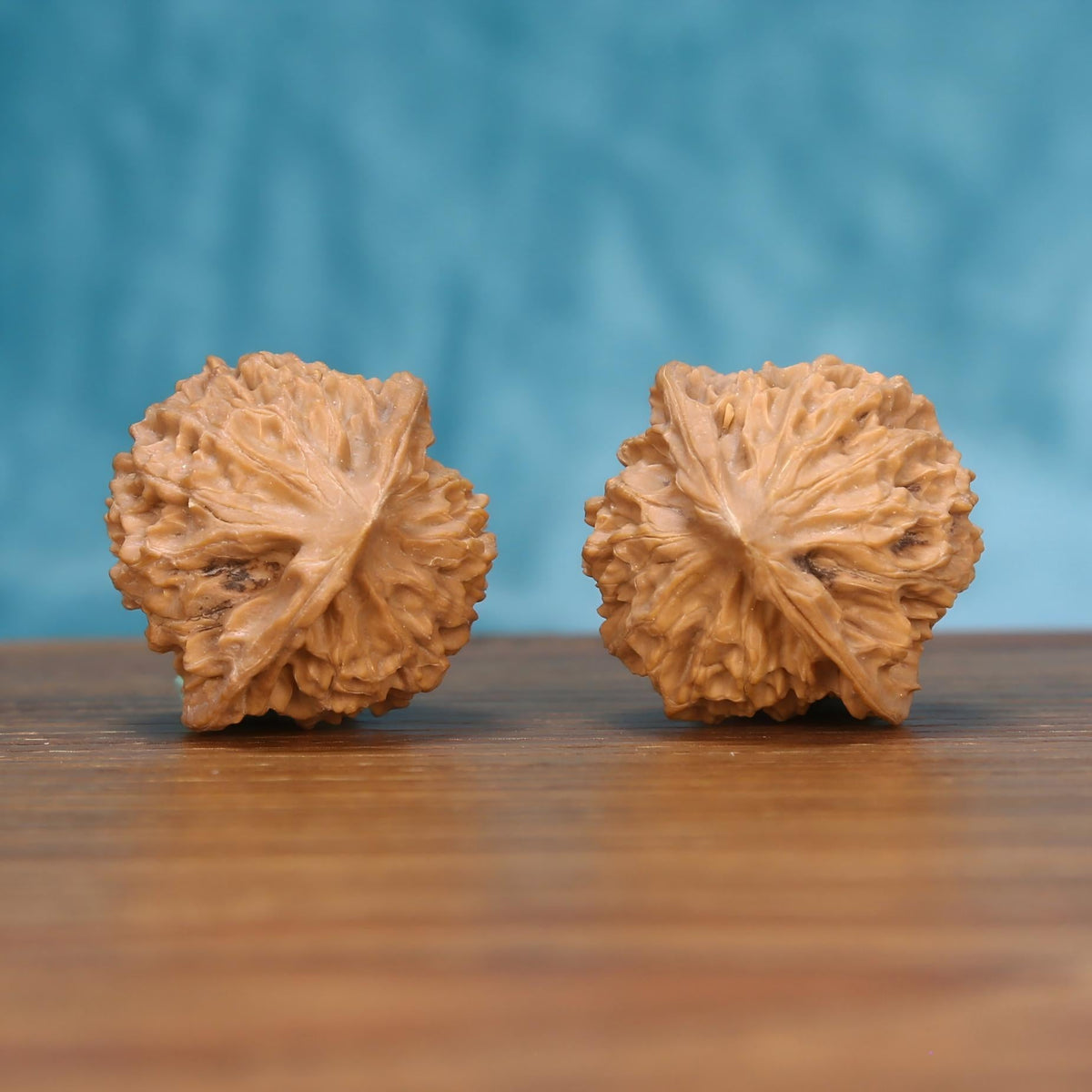 C9 Deng-Long walnut close-up – intricate labyrinthine topography and raw Wabi-Sabi texture by mistbodhi
