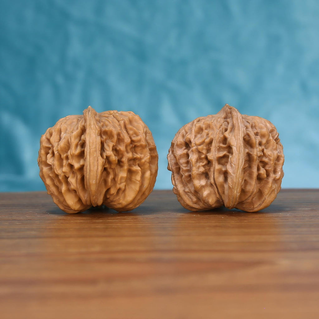 W7579 Si-Zuo-Lou walnut close-up – deep majestic ridges and 1.6g untamed organic density variance