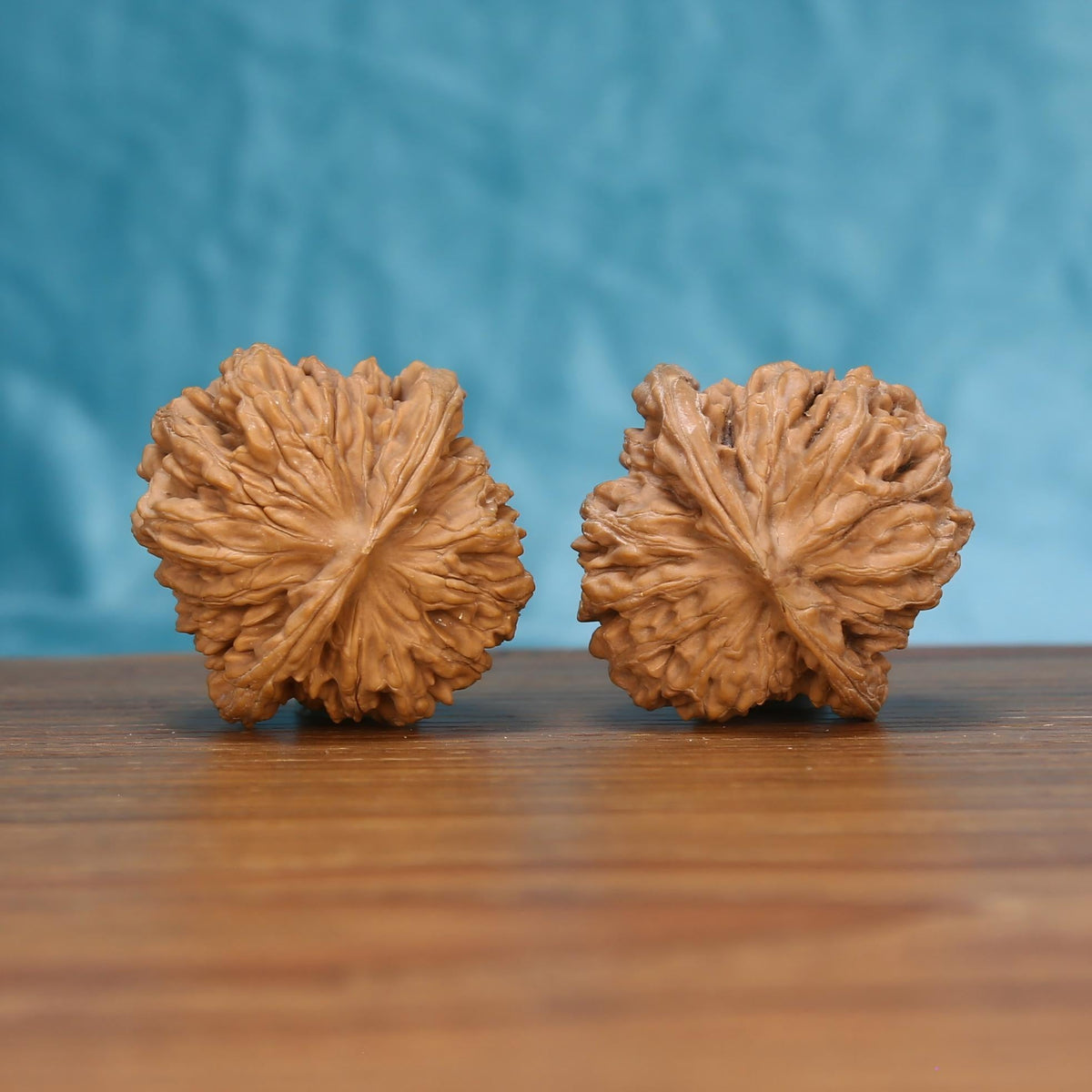 W7579 Si-Zuo-Lou walnut spheres – full-handed 42mm grip for tactile mindfulness and focus