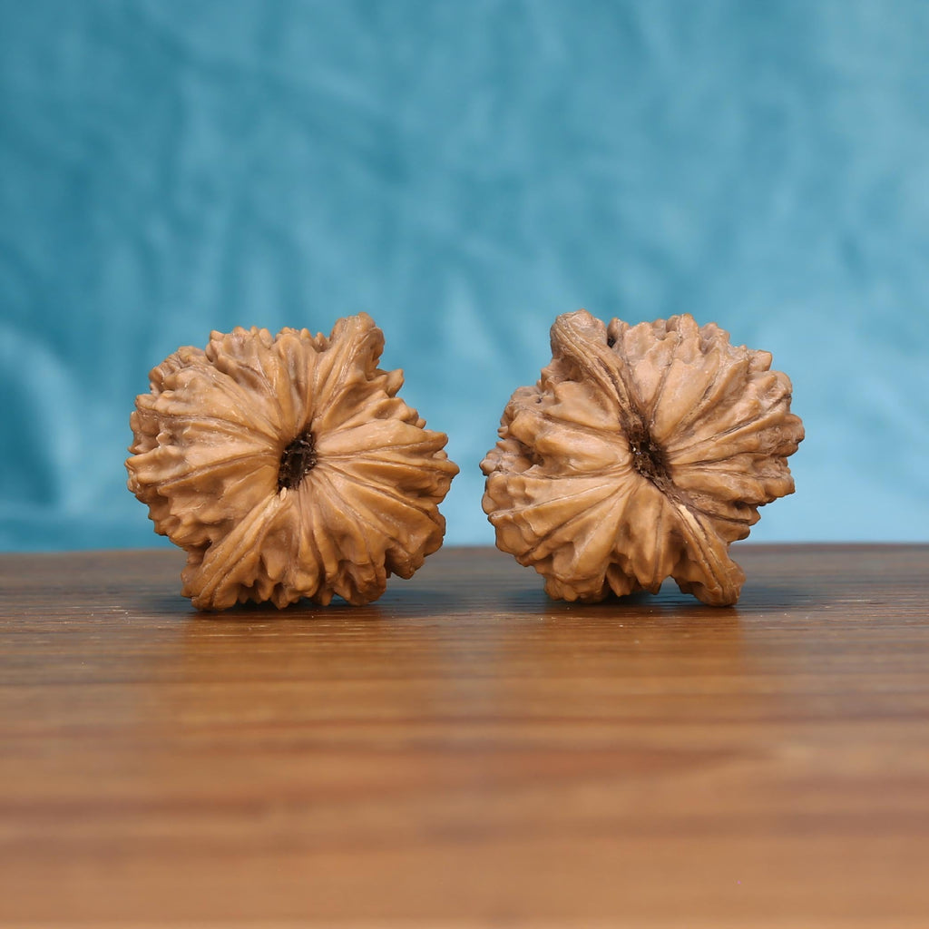 Sovereign Pavilion walnut botanical artifacts by mistbodhi – wild-harvested Zen grounding tool