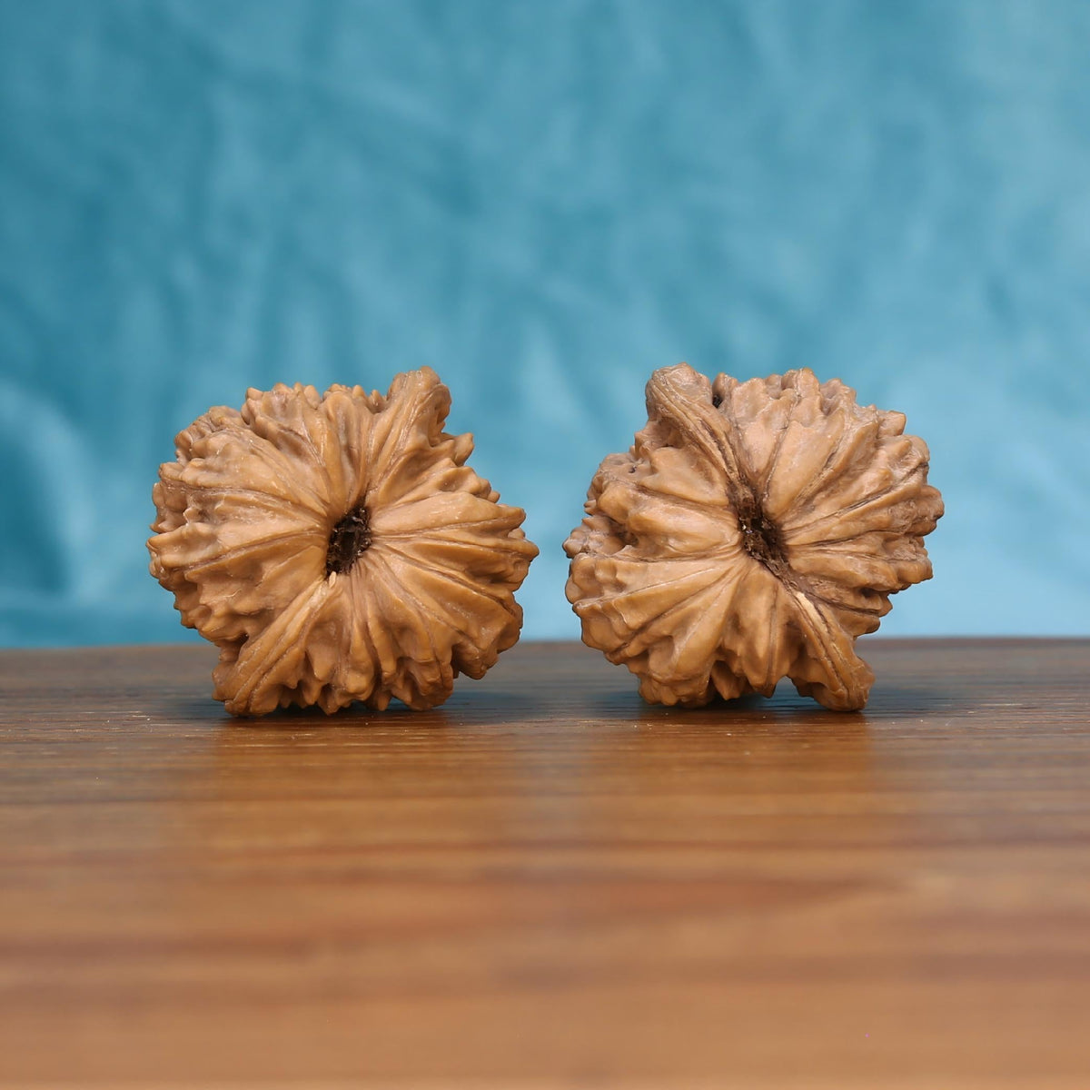 Sovereign Pavilion walnut botanical artifacts by mistbodhi – wild-harvested Zen grounding tool