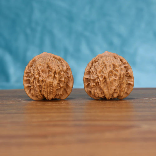 Single Hong-Dou wenwan walnut on wooden surface, blue background – bold natural ridge texture close-up