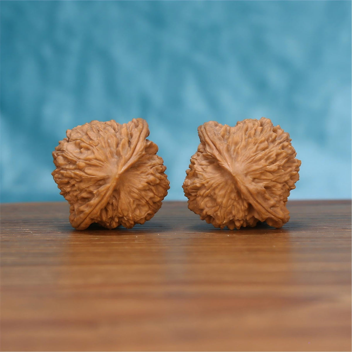 Single Hong-Dou wenwan walnut bottom view on wooden surface – natural base and ridge texture detail