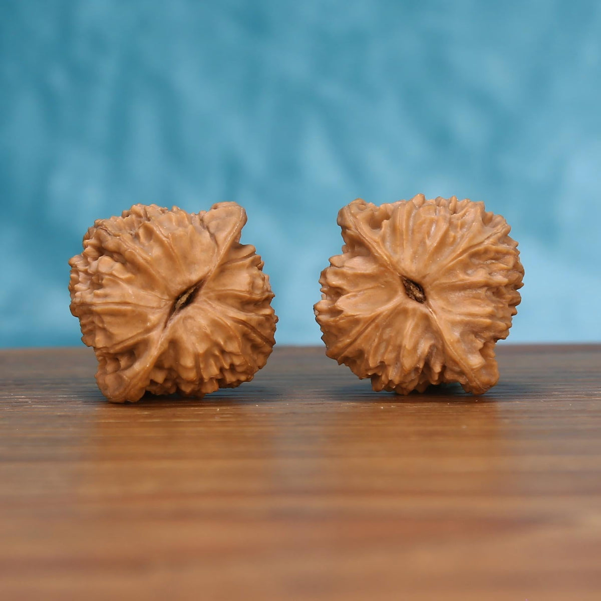  Hong-Dou walnut pair bottom view on wood – natural tectonic base pattern, Tectonic Ridge premium set