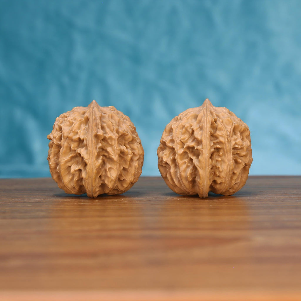 Single Wu-Ming wild wenwan walnut on wooden surface, blue background – rare wind-carved natural ridge texture close-up