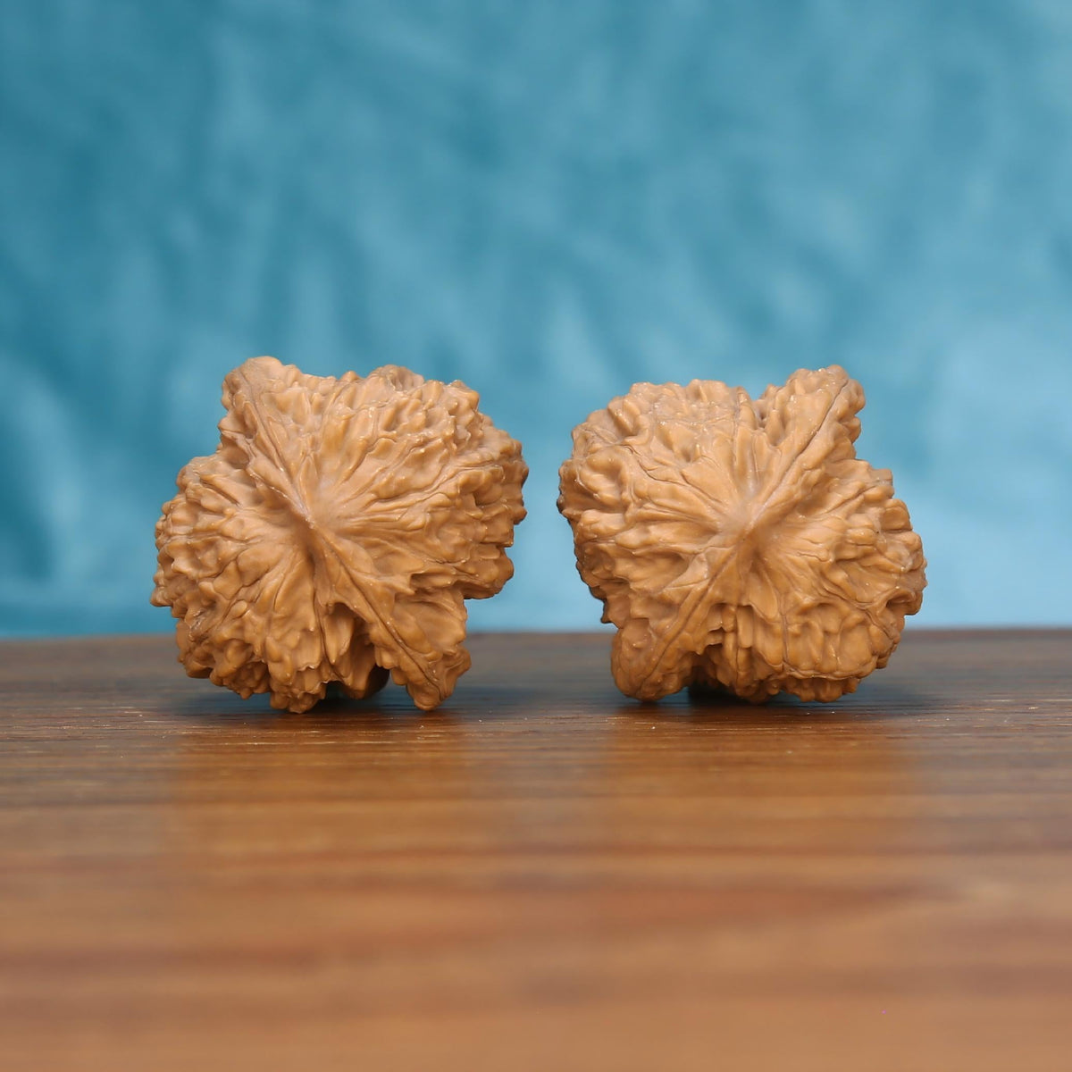 Single Wu-Ming wild wenwan walnut bottom view on wooden surface – natural base and wind-carved texture detail