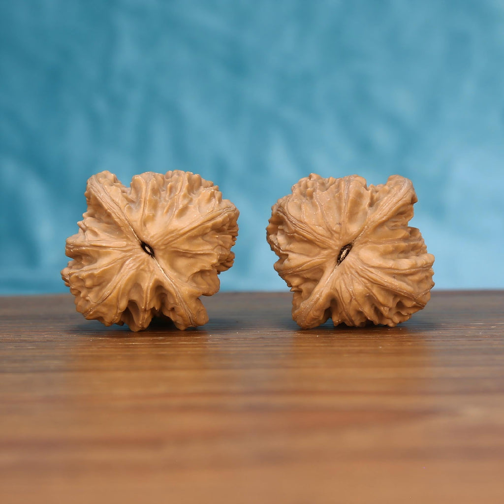 Wu-Ming wild walnut pair bottom view on wood – natural wind-carved base pattern, Wind-Carved Ridge premium set