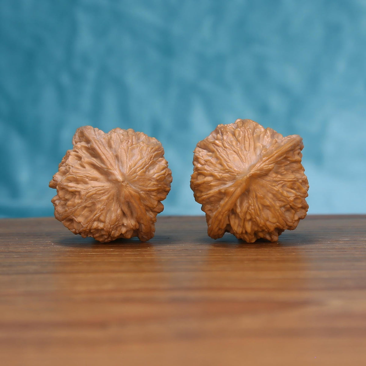 Single Jiang-Jun-Bang wenwan walnut bottom view on wooden surface – natural base and armor-plated texture detail
