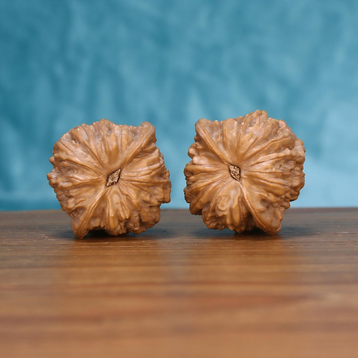  Jiang-Jun-Bang walnut pair bottom view on wood – natural armor-plated base pattern, General's Armor premium set