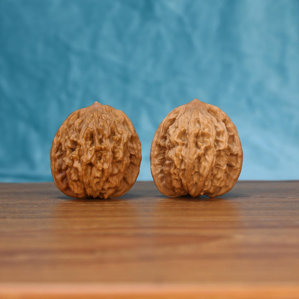 The Sovereign Harvest | Mai-Sui Hu-Tou Walnut Set 7572 Matched pair of Mai-Sui Hu-Tou Wenwan walnuts with textured surface