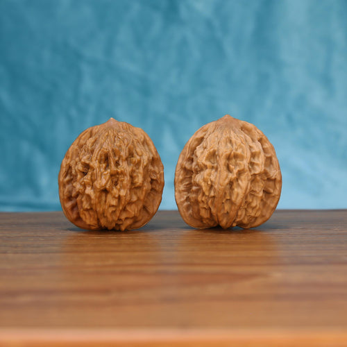 The Sovereign Harvest | Mai-Sui Hu-Tou Walnut Set 7572 Matched pair of Mai-Sui Hu-Tou Wenwan walnuts with textured surface