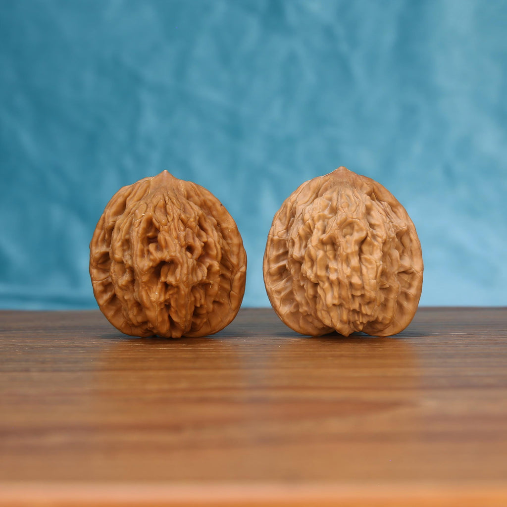 The Sovereign Harvest | Mai-Sui Hu-Tou Walnut Set 7572