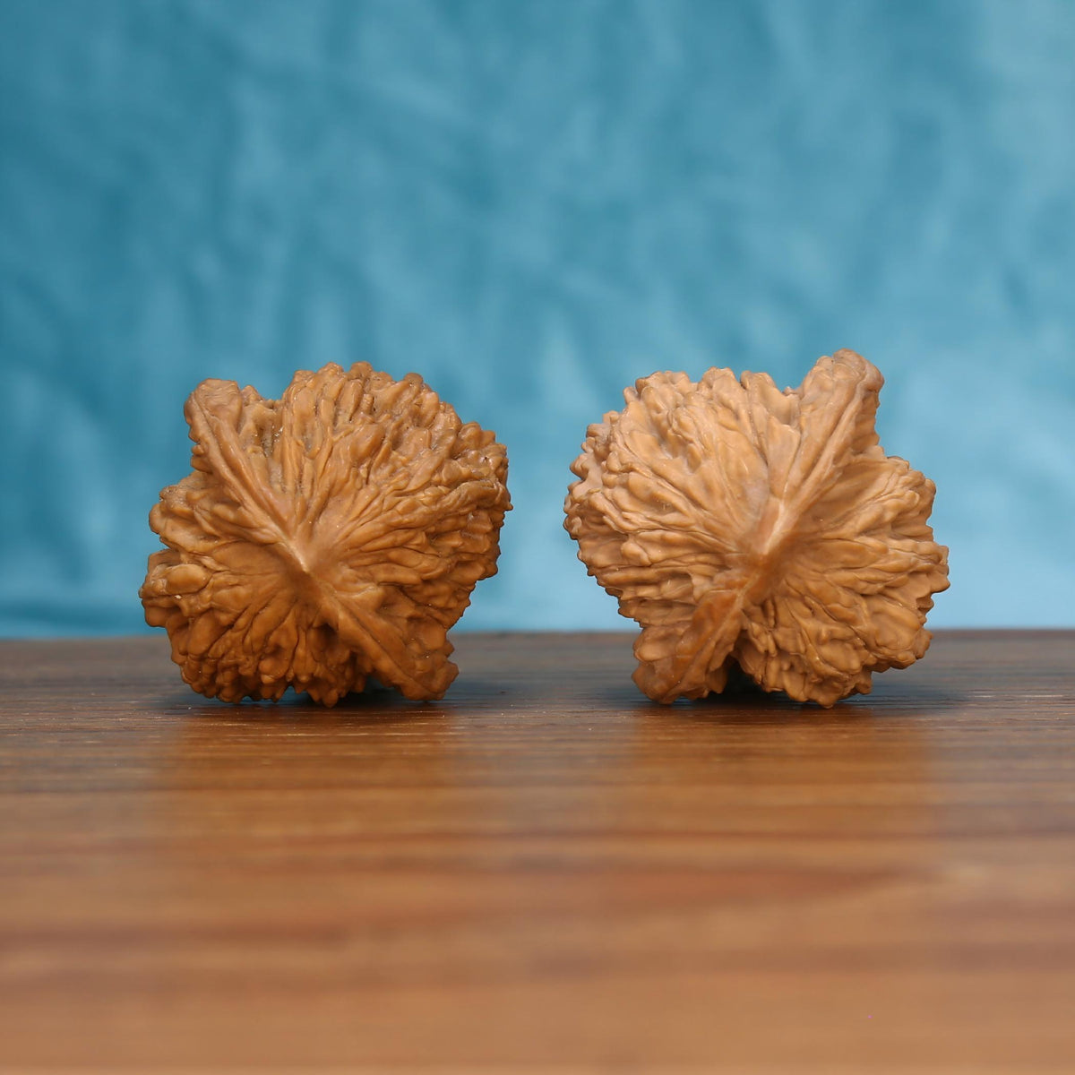 The Sovereign Harvest | Mai-Sui Hu-Tou Walnut Set 7572