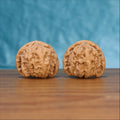 Bai-Shi-Zi walnut pair on rosewood stand – bold spreading lion mane ridges and 40mm wide-belly form
