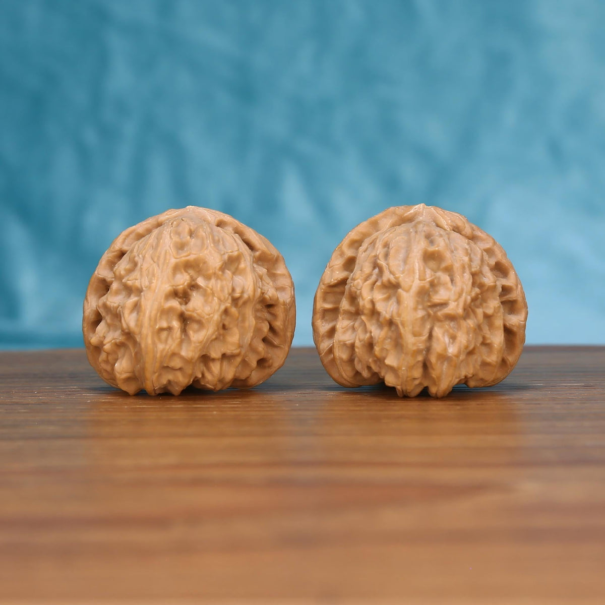 W7584 Mane Glow walnut duo front view – plump palm-hugging shape and balanced rolling experience
