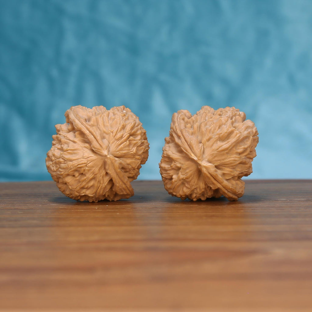 Mane Glow walnut pair on wooden surface – 1.3g organic variance raw botanical stress relief spheres

