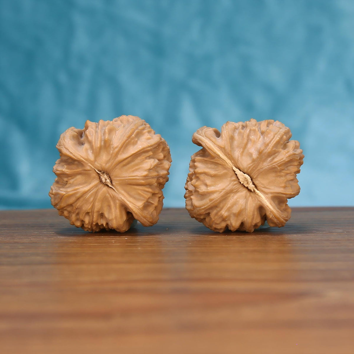 W7584 Bai-Shi-Zi walnut botanical artifacts by mistbodhi – 100% raw canvas for one-of-a-kind patina
