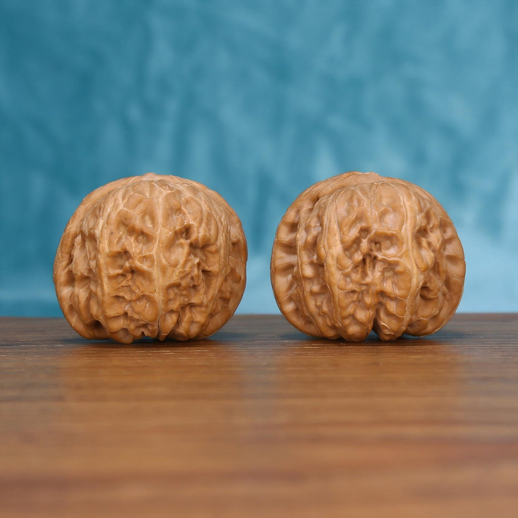 Yuan-Bao walnut pair displayed on a wooden table against a blue backdrop