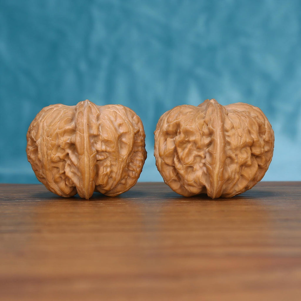 Yuan-Bao walnuts standing upright on a wooden surface