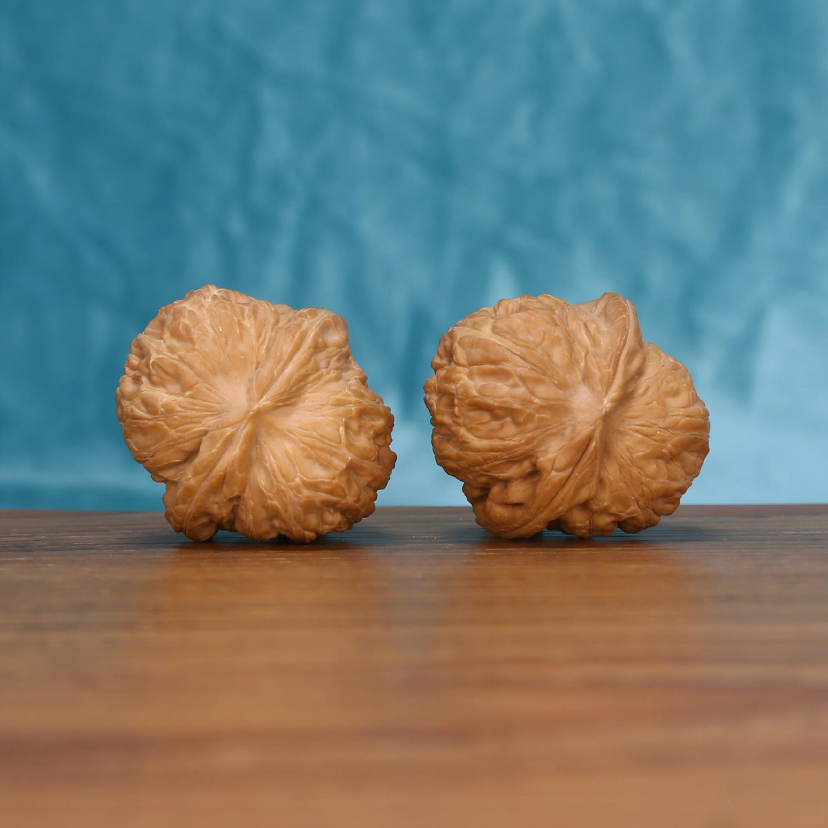 Side view of the Yuan-Bao walnut pair highlighting its natural form