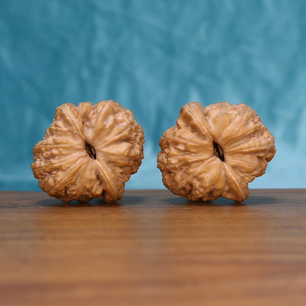 Two Yuan-Bao walnuts shown from another angle on a wooden table