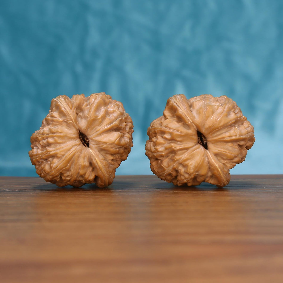 Two Yuan-Bao walnuts shown from another angle on a wooden table