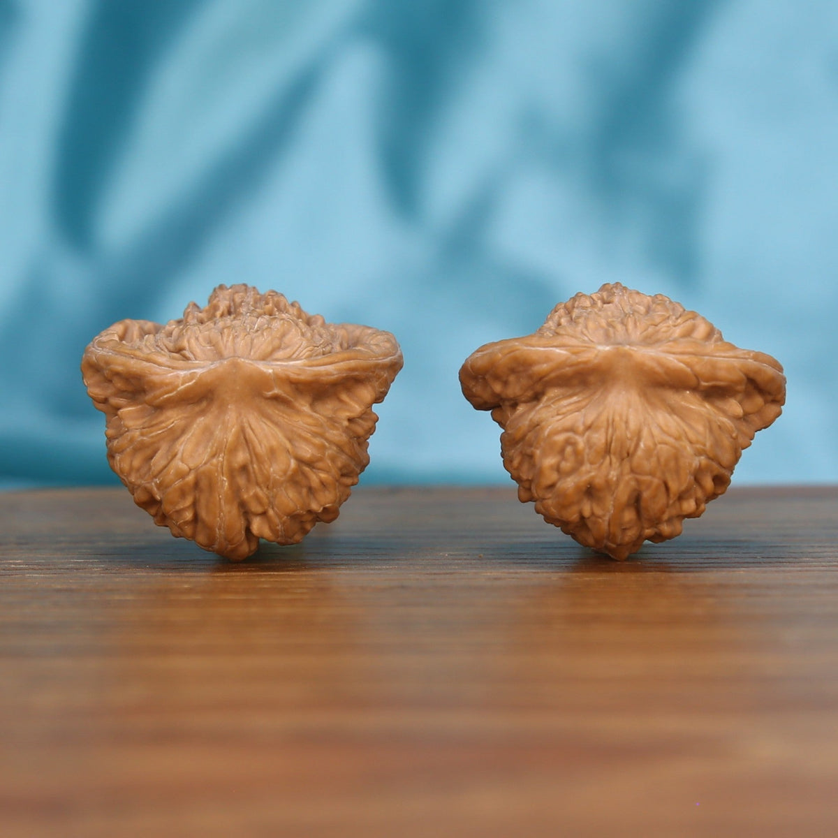 Serpent's Vault walnut pair on stone surface – low-stature 36mm EDC botanical stress relief spheres
