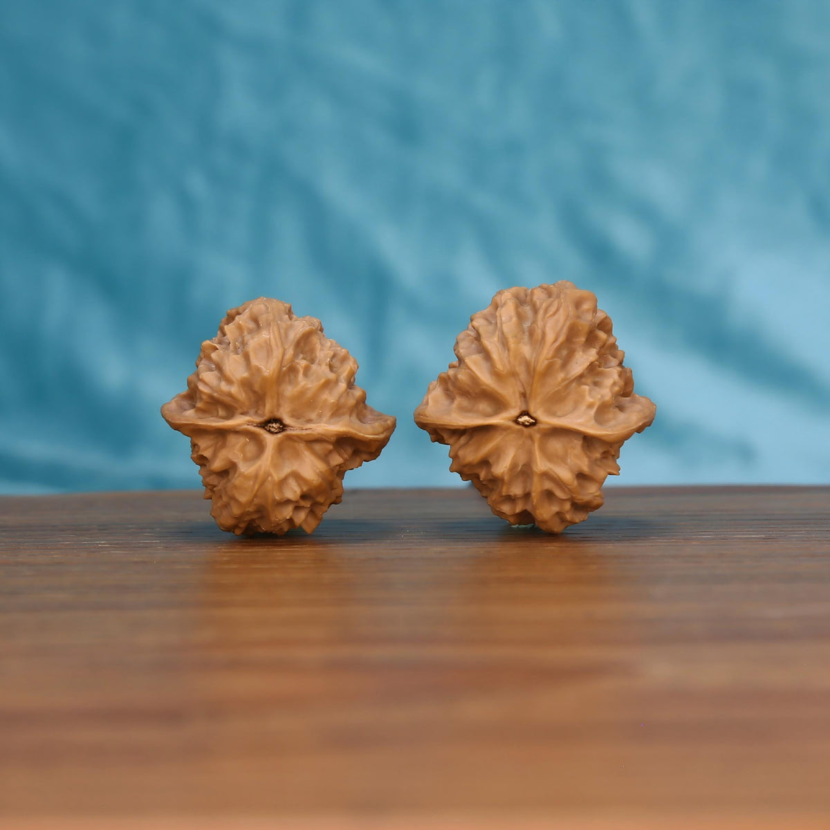 Ling-Long wenwan walnut pair side profile on wood, blue background – delicate hollow-carved grain detail