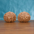 Two Gong-Deng wenwan walnuts on wooden surface, blue fabric background – matching architect's pavilion set