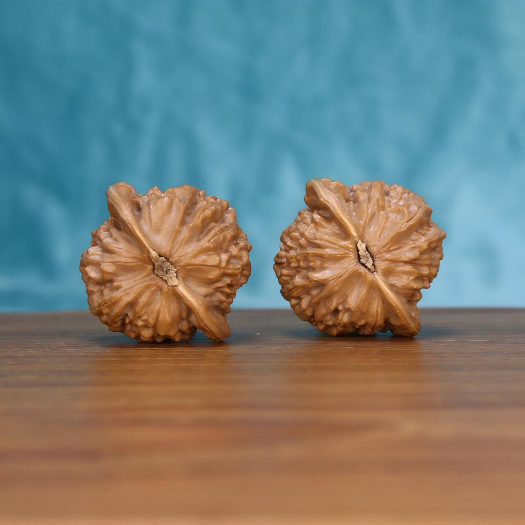  Gong-Deng walnut pair bottom view on wood – natural lantern base pattern, Architect's Pavilion premium set