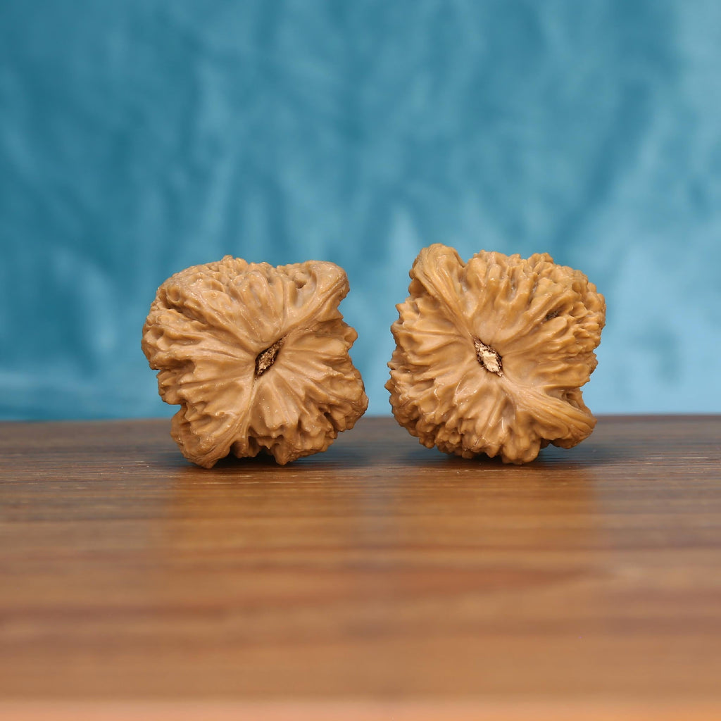  Nan-Jiang-Shi walnut pair bottom view on wood – natural ancient bedrock base pattern, premium set