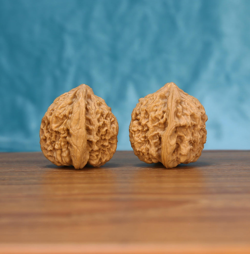 Single Nan-Jiang-Shi wenwan walnut on wooden surface, blue background – bold ancient bedrock natural texture close-up