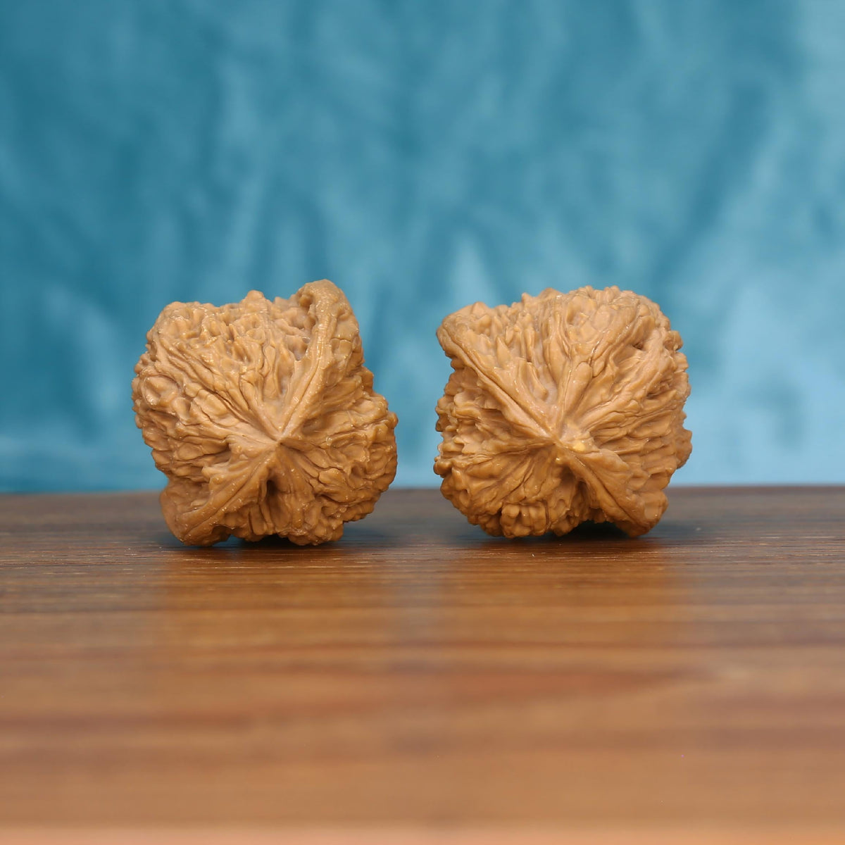 Single Nan-Jiang-Shi wenwan walnut bottom view on wooden surface – natural base and bedrock texture detail