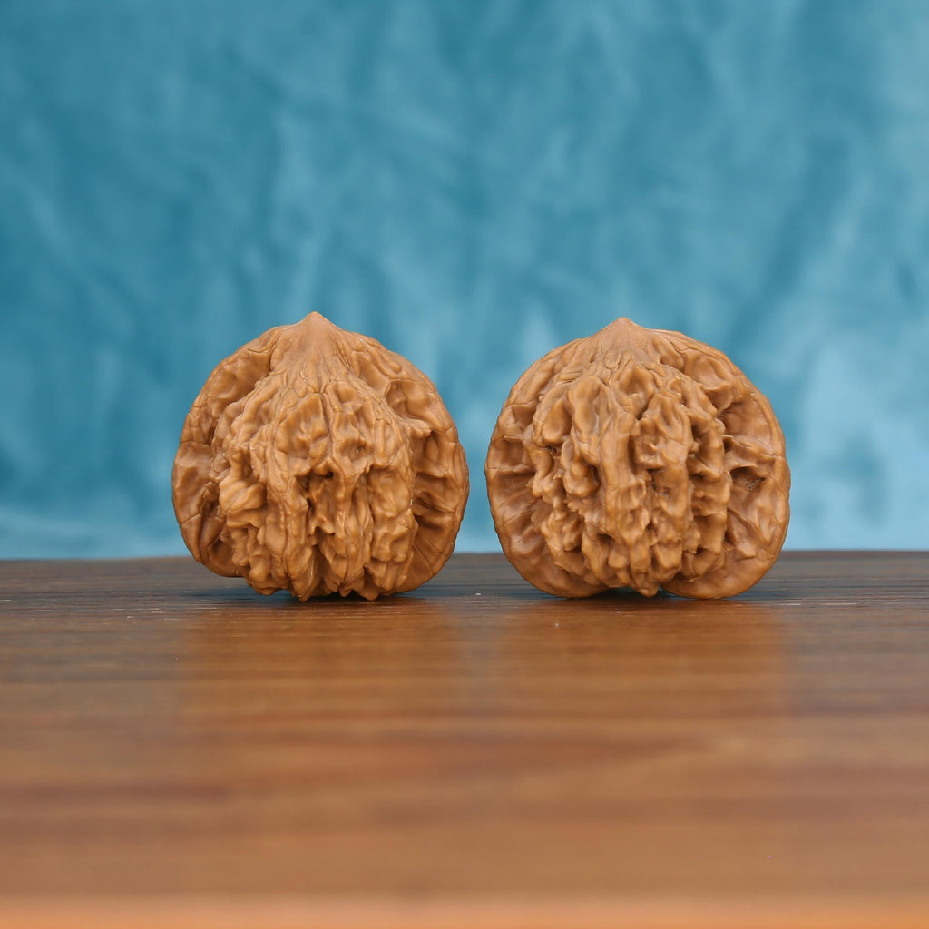  Two Mai-Sui-Hu-Tou wenwan walnuts on wooden surface, blue fabric background – matching primal crest set