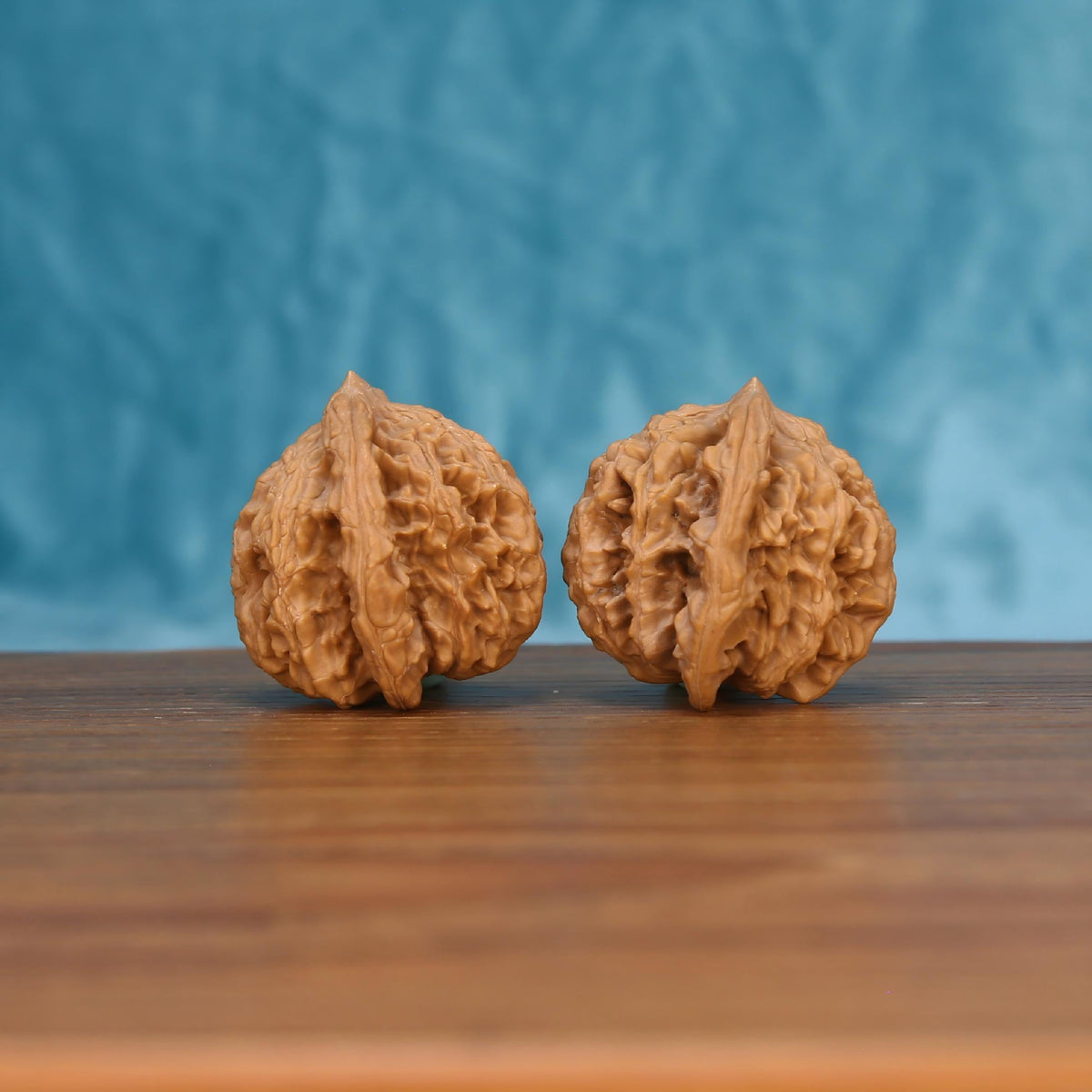Single Mai-Sui-Hu-Tou wenwan walnut on wooden surface, blue background – bold primal crest natural texture close-up