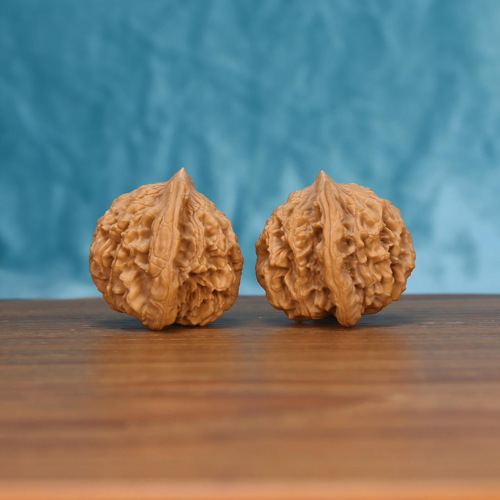 Mai-Sui-Hu-Tou wenwan walnut pair alternate angle, blue background – symmetrical primal crest ridge pattern