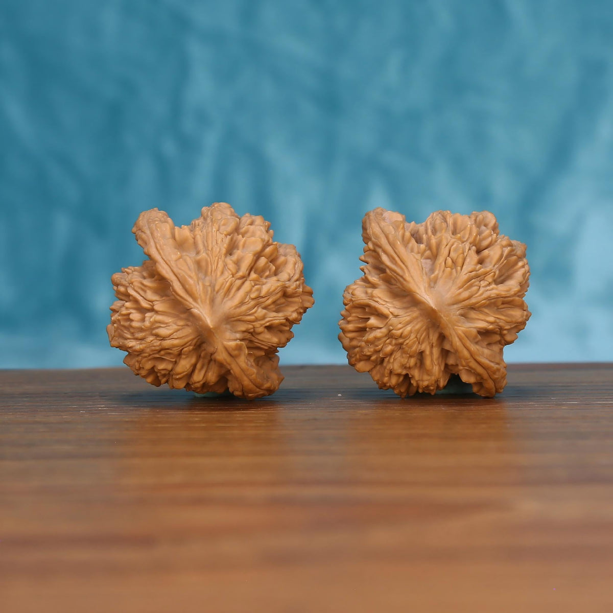  Single Mai-Sui-Hu-Tou wenwan walnut bottom view on wooden surface – natural base and tiger-head texture detail
