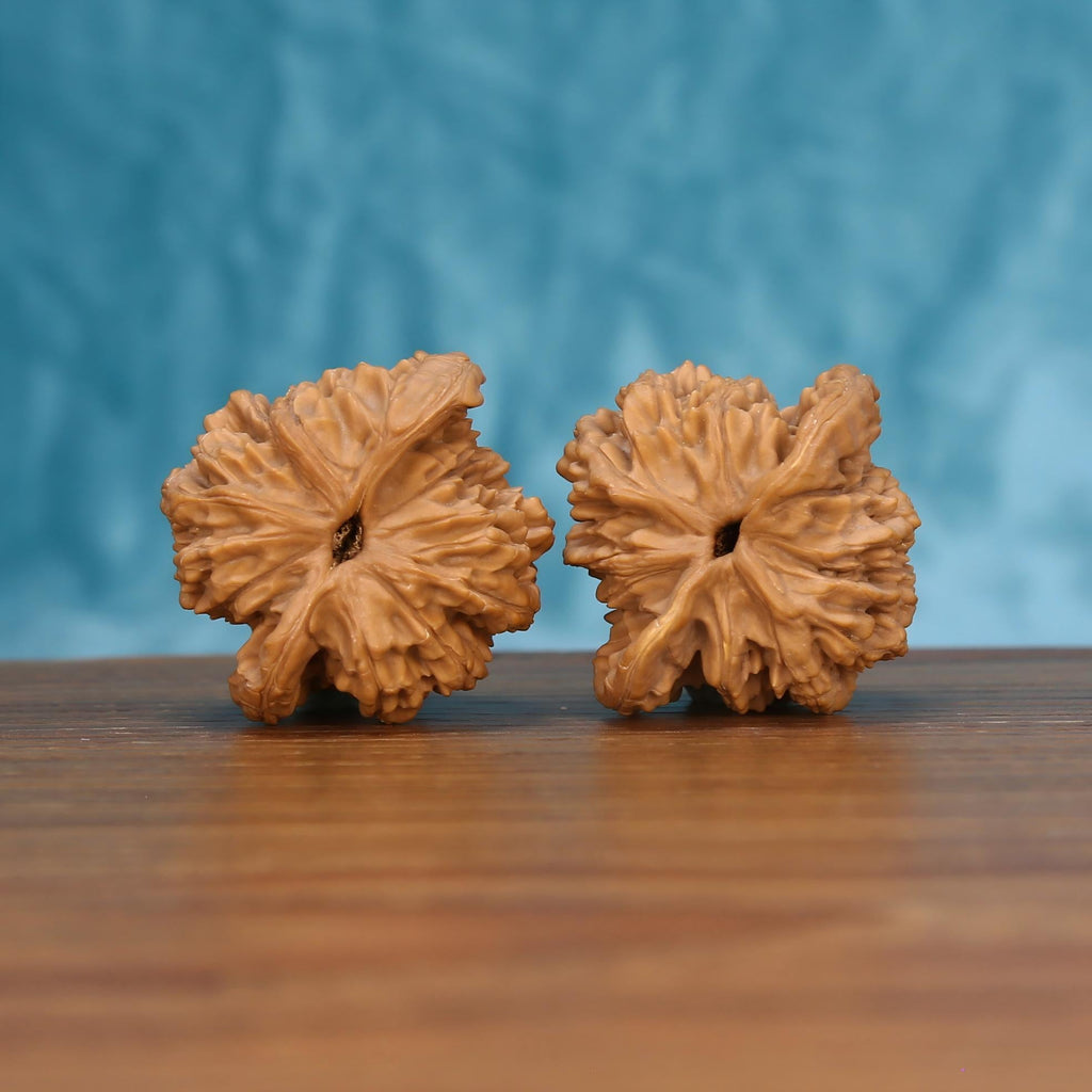  Mai-Sui-Hu-Tou walnut pair bottom view on wood – natural wheat-spike base pattern, Primal Crest premium set