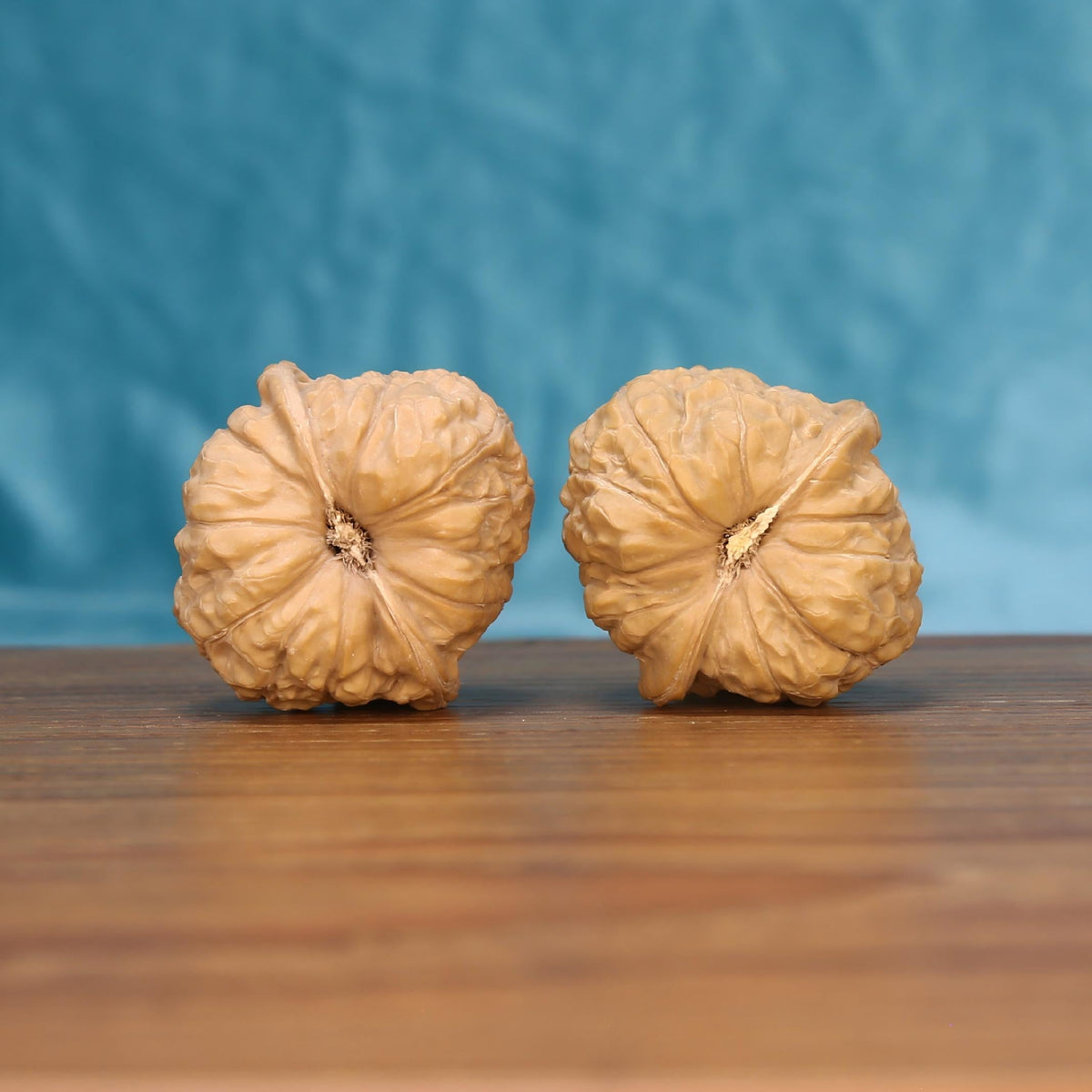 Nan-Gua-Dun walnut pair bottom view on wood – natural pumpkin-shaped base pattern, Earthbound Bastion premium set