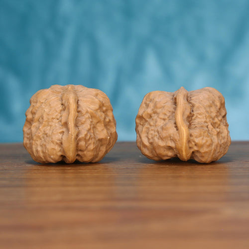 The Singular Spine | Yi-Dao-Jin Walnut Set 7561 Matched pair of Yi-Dao-Jin Wenwan walnuts showing a single-spine ridge