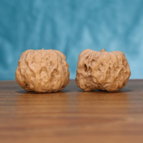 The Singular Spine | Yi-Dao-Jin Walnut Set 7561