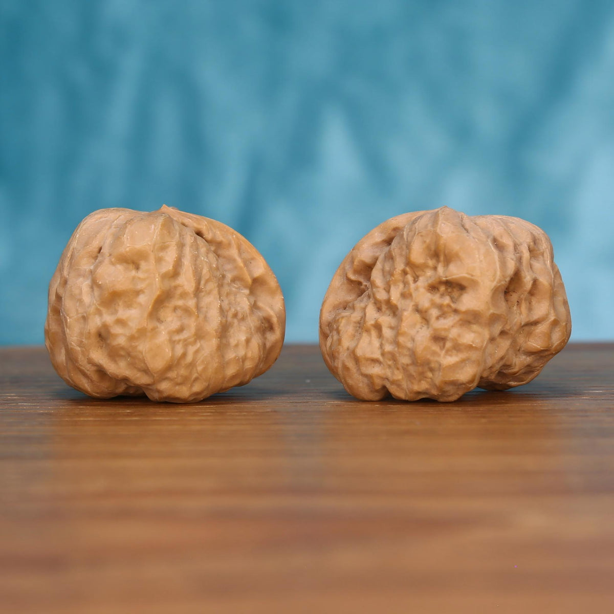 The Singular Spine | Yi-Dao-Jin Walnut Set 7561
